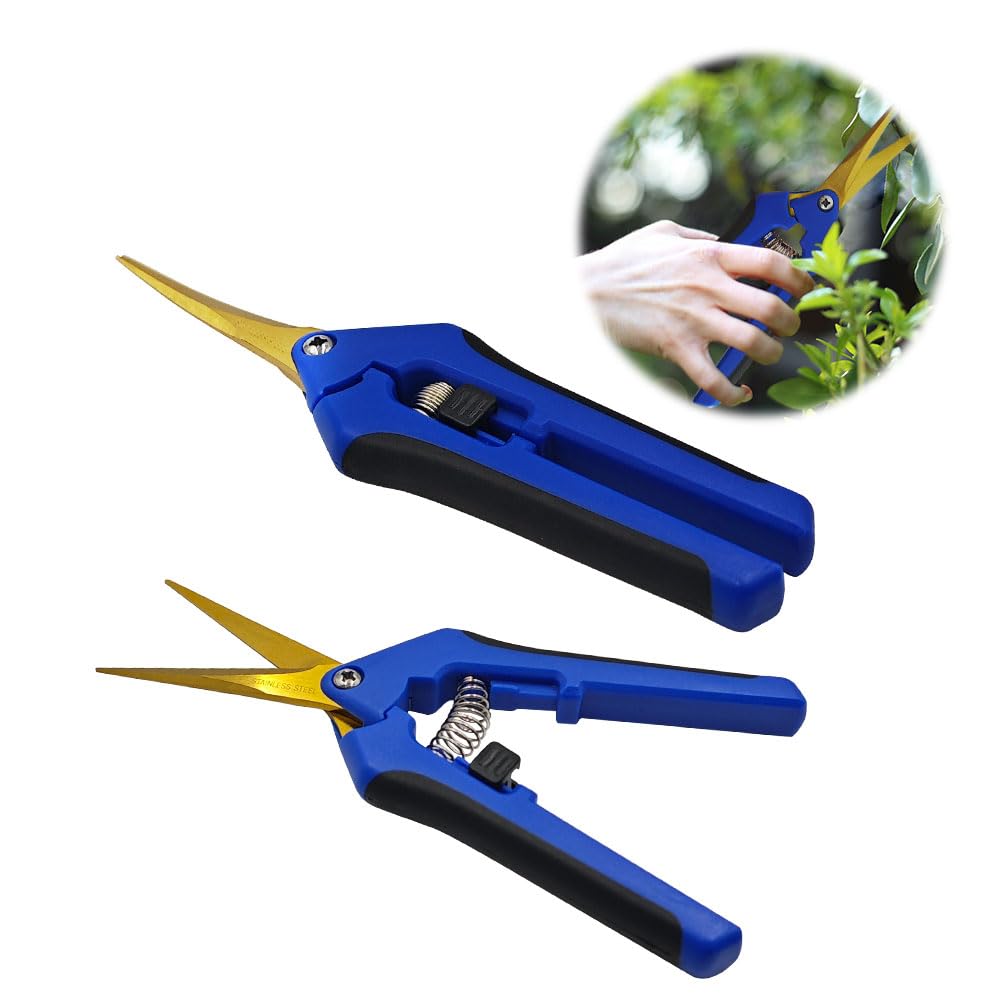 HAISHANG 2Pcs Professional Garden Scissors, Straight Tip&Curved Gardening Pruning Secateurs with Titanium Coated Blades, Flower Pruning Shears, Trimming Scissors for Plants Vegetables Fruits Rose