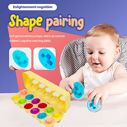 hamerry Montessori Color and Shape Recognition Sorting Puzzle Matching
