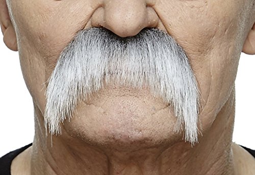 Horseshoe gray with white mustache