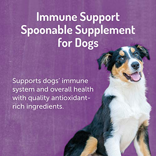 Halo-Natural-Supplements-with-Curcumin-Mushrooms-for-Dogs