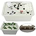 Indoor Hydroponics Grower Kit, Pathonor 11 Pod 3.5 gal Non-transparent DIY Educational DWC Self Watering Hydroponics Tools Plant Cloner Kit Include Aquarium Air Pump, Buoy, Planting Baskets etc