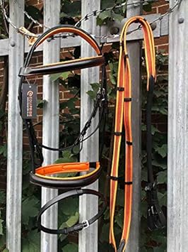 Equipride Padded Comfort Bridle