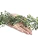Factory Direct Craft 6' Green Artificial Boxwood Garland