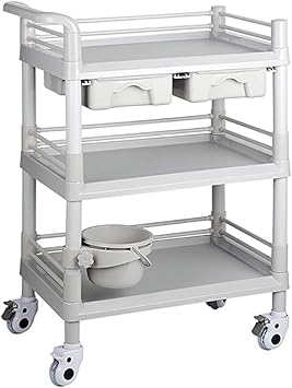 Carros de almacenamiento Carro de la carretilla de la belleza, estante
