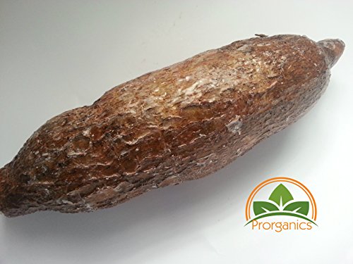 2 Lbs Organic Yuca, Yucca from Puerto Rico by Prorganics