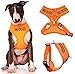 NO Dogs (Not Good with Other Dogs) Orange Colour Coded Non-Pull Front and Back D Ring Padded and Waterproof Vest Dog Harness Prevents Accidents by Warning Others of Your Dog in Advance (L)