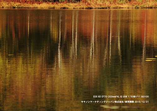 Canon-EOS-6D-202-MP-CMOS-Digital-SLR-Camera-with-30-Inch-LCD-Body-Only-Wi-Fi-Enabled-International-Version-No-warranty