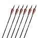 GPP Archery Carbon 30-Inch Targeting/Hunting Arrows Field Points Replaceable Tips for Recuve Bow & Compound Bow