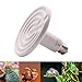 Aiicioo 250 Watt 110 Volt Ceramic Heat Emitter for Reptiles or Amphibians White