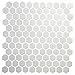 Daltile Hexagon White Porcelain Mosaic Tile Matte Look 1x1 Inch