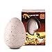 CODIA Hatching Growing Eggs Dinosaur 4 Different Kinds of Jumbo Dino (Random)