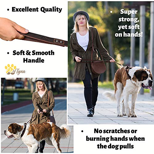 ADITYNA - Heavy Duty Leather Dog Leash 6 Foot - Strong and Soft Leather Leash for Extra Large, Large and Medium Dogs - Dog Training Leash (XL - 6 ft x 1 inch, Brown)