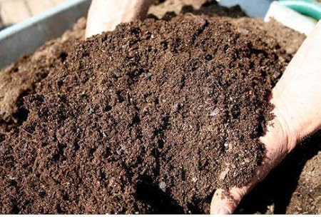 VEDHAHI Vermicompost Enriched With Neem Leaves & Cow Urine For Home Garden & Potting Mix -100% Organic Fertilizer & Manure (20KG)