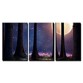 Tall Trees of a Forest Illuminated with a...