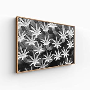 Canvas Wall Art for Living Room, Bedroom Monochrome Plants Framed Canvas Prints for Home Decoration Ready to Hang - 16x24 inches
