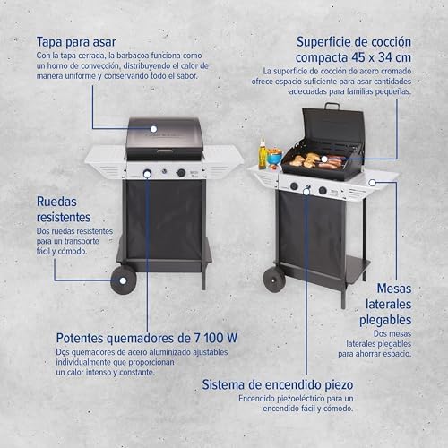 Xpert 100 L Barbacoa gas | Parrilla gas con 2 quemadores 7.1 kW