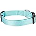 Blueberry Pet Essentials Matching Medium Adjustable & Durable Classic Solid Color Nylon Dog Collars for Medium Dogs | Mint Blue Collar for Girl & Boy Dogs