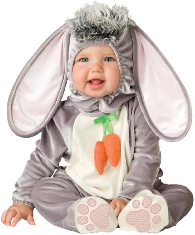 Wee Rabbit Infant/Toddler Costume 18 Months/2T