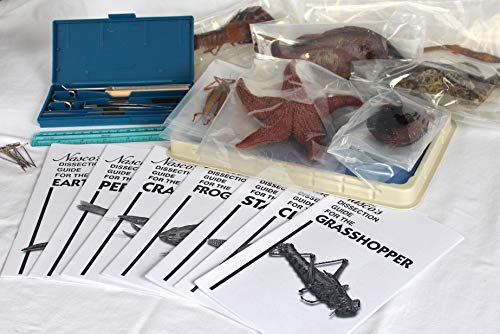Intermediate Dissection Kit