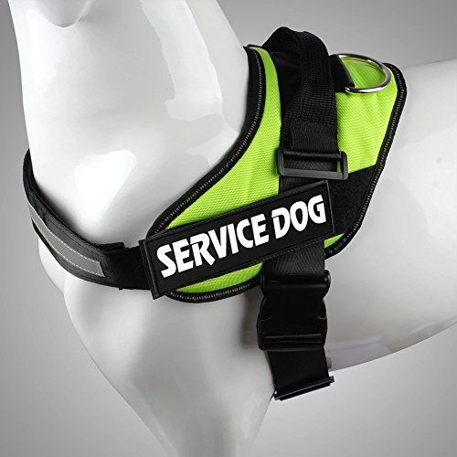 Beirui Set of 2 Reflective VelcroPatches for Dog Nylon Harness & Vest