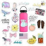 RipDesigns - 20 Preppy Southern Sorority Stickers for Water Bottles, Laptops (Series 5)