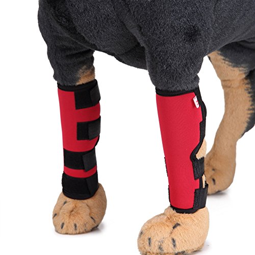 ieasysexy Dog Surgical Injury Boots Protects Wounds Brace Heals and Prevents Injuries and Sprains Rehabilitation Knee Protector for Dogs Dog Leggings Helps Arthritis (Red for S) - Thumbnail 2
