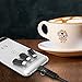 iVoler USB Type C Adapter with Keychain
