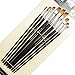 9 Pieces Artist Paint Brushes Nylon Angled Flat Paint Long Handle Value Set for Oils, Acrylic, Gouache & Watercolor Painting-Lightwish (Angled Flat Paint)