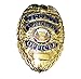 GOLD Security Enforcement Officer / Guard Metal Badge