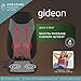 Shiatsu Back Massager by Gideon Deep Kneading Seat Cushion Dual Motor Design with Heat Settings for Full, Mid and Lower Back. Includes Control Panel for Precision Control