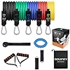 Molenky Resistance Bands Set, 12 stuks Oefenbandjes Fitness Stretch Workout Bands met Handgreepversterker…