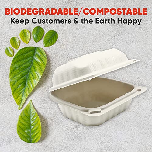 Biodegradable Grease Proof Clamshell Box To Go, Microwavable