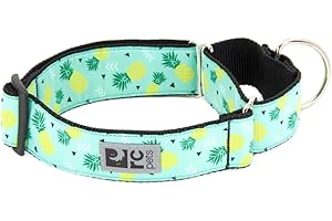 RC Pet Products 61804251 All Webbing Martingale Training Dog Collar, Medium
