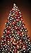 Window Poster Christmas Tree by WOWindows USA-made Decoration Includes 1 Reusable 34.5