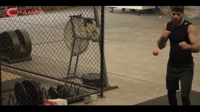 Champs-MMA-Boxing-Reflex-Ball-Boxing-Equipment-Fight-Speed-Boxing-Gear-Punching-Ball-Great-for-Reaction-Speed-and-Hand-Eye-Coordination-Training-Reflex-Bag-Alternative