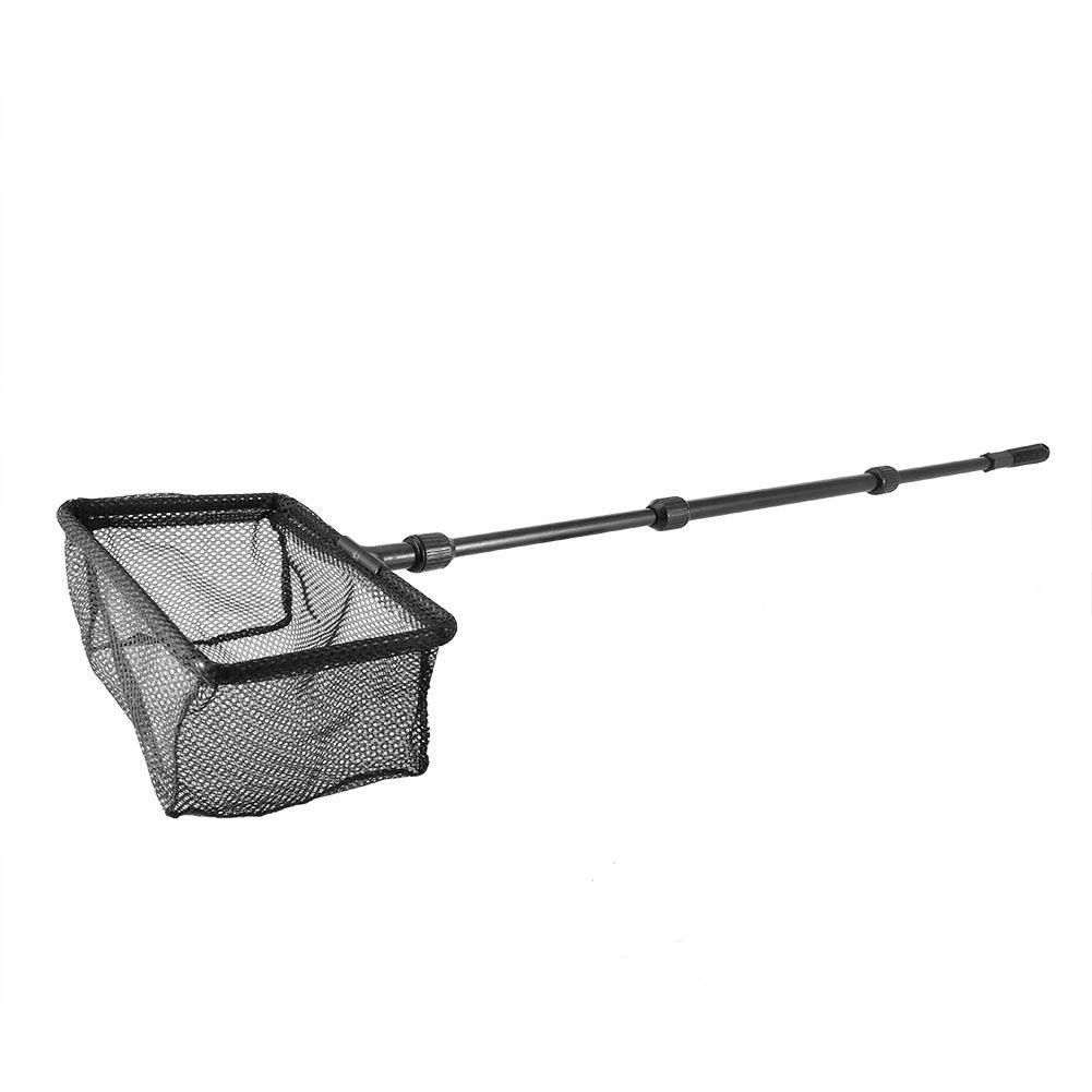Retractable Aquarium Net for Fish Tank - Square Landing Net for Catch and Release, Shrimp and Floating Debris Cleaner (M)