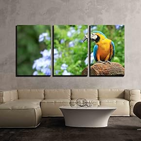 Parrot on Background as Colorful Flowers x3 Panels