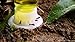 byFormica Liquid Feeder Mini - 1 & 5 mL Combo - Set of 6 Feeders
