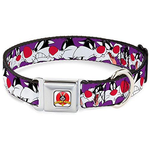 Buckle-Down Seatbelt Buckle Dog Collar - Sylvester the Cat Expressions Purple - 1" Wide - Fits 11-17" Neck - Medium