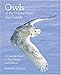 Owls of the United States and Canada: A Complete Guide to Their Biology and Behavior