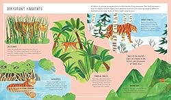 Tiger (Young Zoologist): A First Field Guide to the