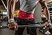 Bear Grips Lifting Straps with Padded Wrist Straps for Weight Lifting. Heavy Duty Deadlift Straps, Voted Best Workout Straps. with Added Grip On Strap. Fits All Wrist Sizes, Men & Women. Pink