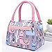 Ladiy New Prints Heat Preservation Portable Zipper Closure Lunch Bag Tote Lunch Bags