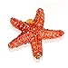 YU FENG Starfish Figurine Trinket Box Hinged Collectible Crystal Jeweled Sea Animal Decor Ornament