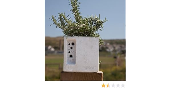 Nichoir à abeilles solitaires: Amazon.es: Jardín