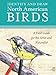 Identify and Draw North American Birds: A Field Guide for the Artist and Naturalist