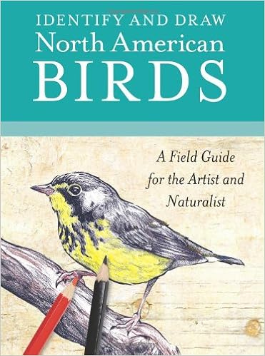 Identify and Draw North American Birds: A Field Guide for the Artist and Naturalist Identify and Draw North American Birds: A Field Guide for the Artist and Naturalist