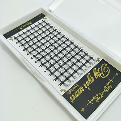 Big Eye's Secret 10D Premade Volume Fans Eyelash Extensions 0.10 C/D 10-14mm Long Thickness Eyelashes For Makeup And Beauty Professional Salon Use In One Tray (13mm)