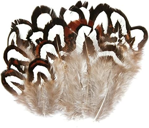 Hgshow Silver Pheasant Feathers 2-3 inches,hand sorting,per pack of 80