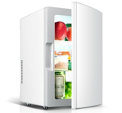 Amazon.es: SHISHANG Refrigerador portátil para automóvil 18L ...